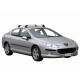 PEUGEOT 407 (05-10) PEUGEOT 407 (05-10)